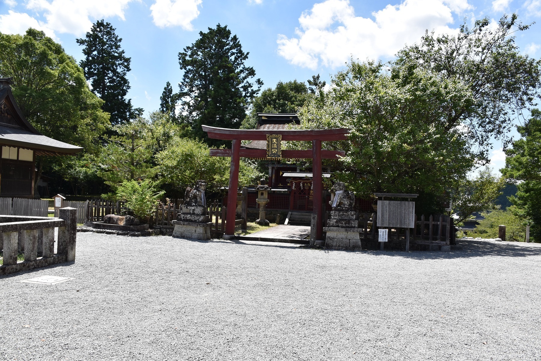 DSC_0111.JPG