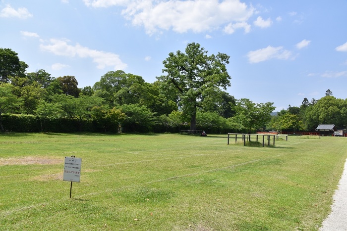 DSC_0352.JPG