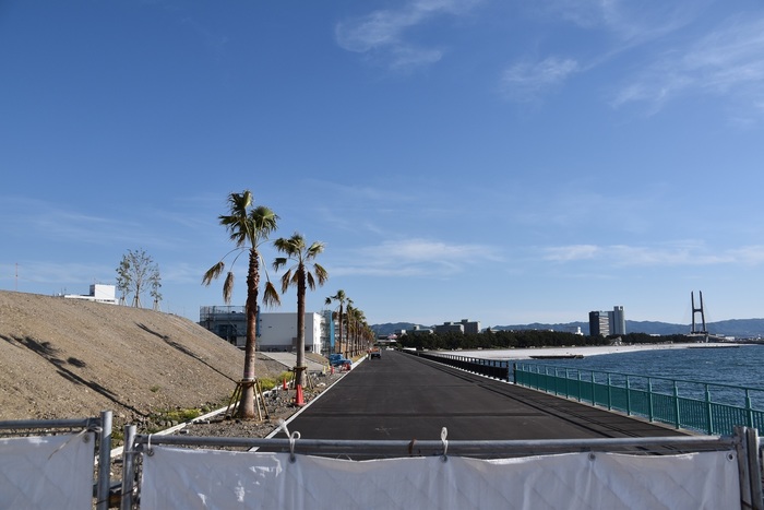 DSC_0427.JPG