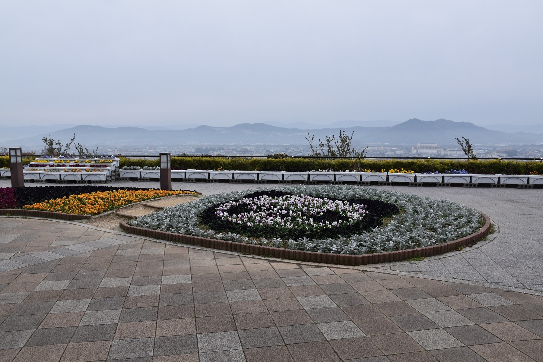 紀ノ川 サービス エリア