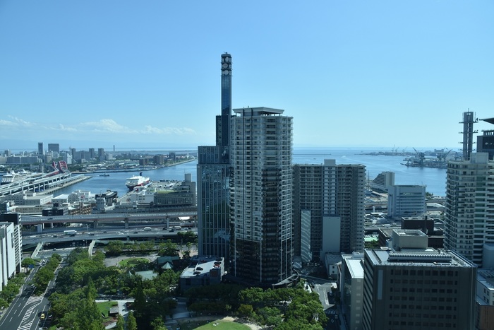 DSC_0650.JPG