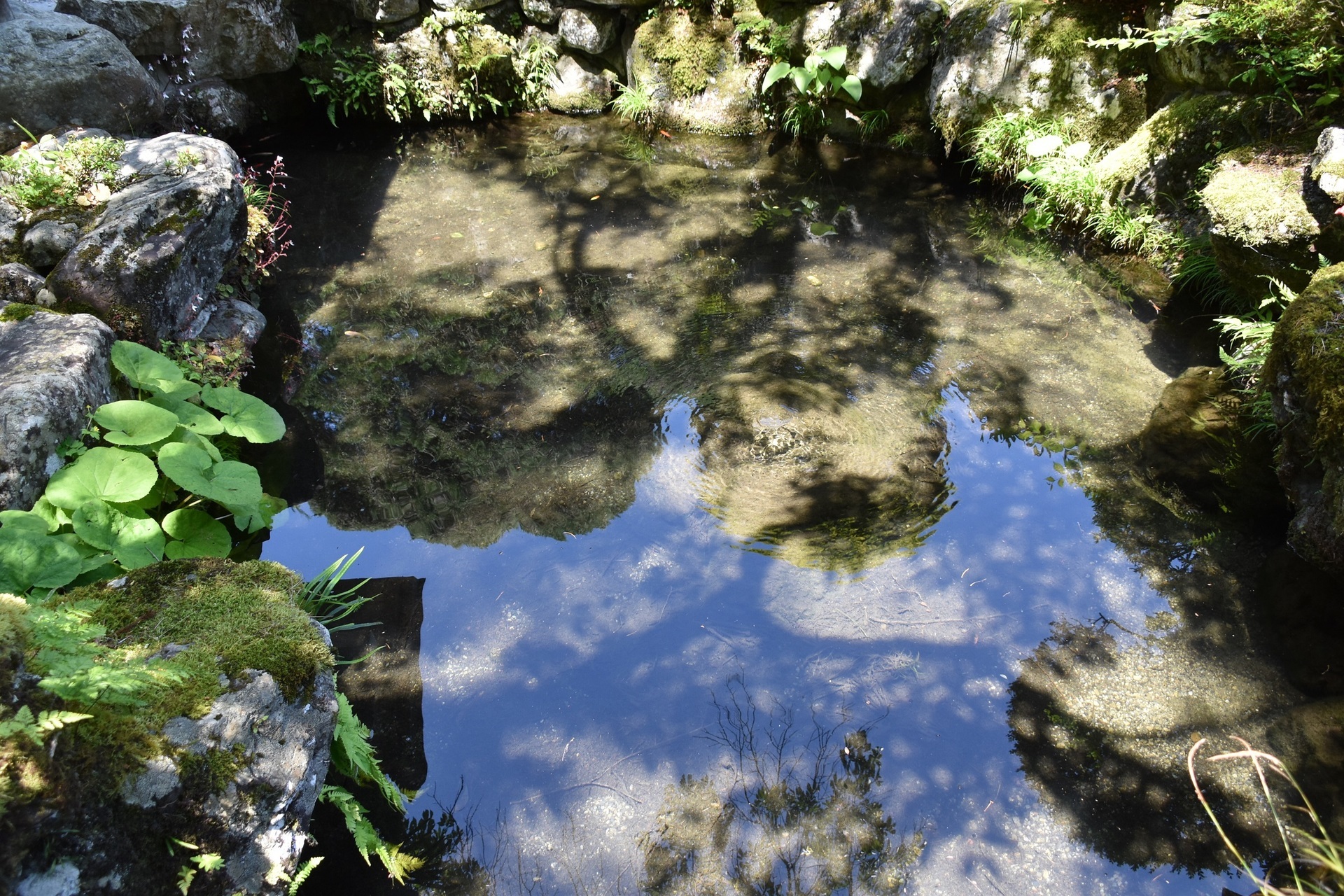 初夏の天川へ（その2・天河神社と来迎院） OsakaSirokichies Blog