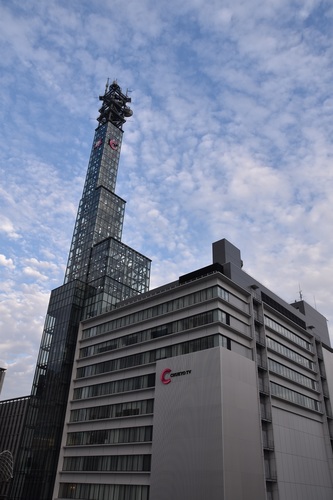 DSC_0817.JPG