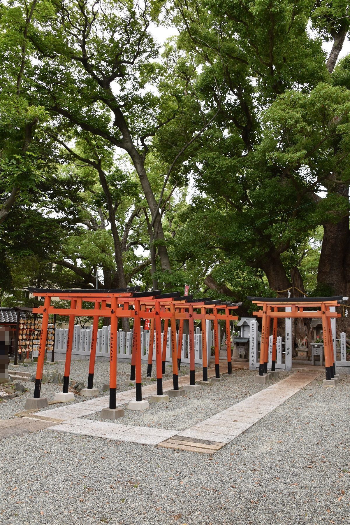 信太森葛葉稲荷神社・後編（大阪府和泉市）: Osaka-Sirokichies Blog