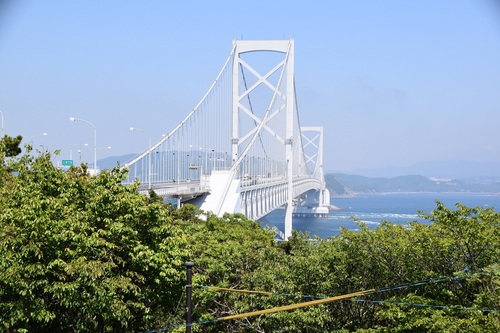 DSC_0955.JPG