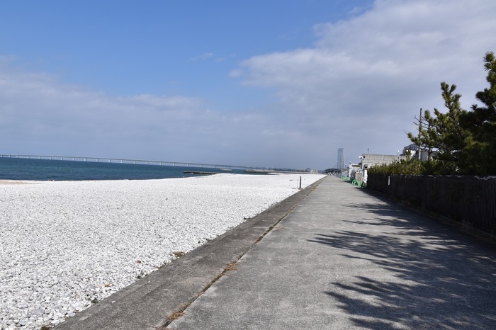 DSC_0969.JPG