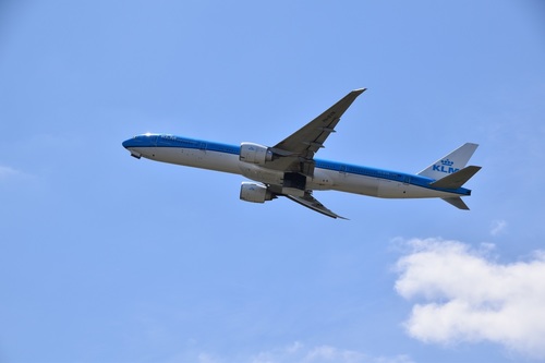 DSC_1439.JPG