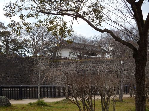 P2111240.JPG