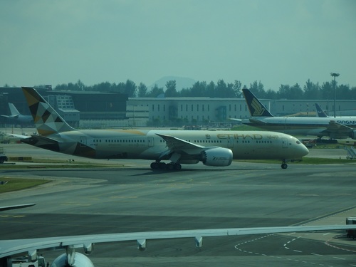 P3264920.JPG