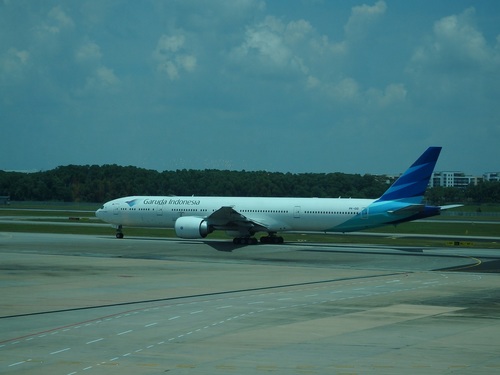 P3264992.JPG