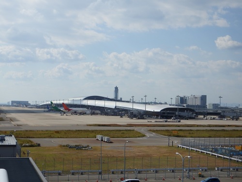 PB037679.JPG